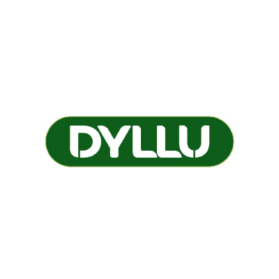 dyllu
